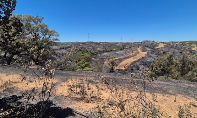 El incendio de Castillejos desciende a situación de preemergencia