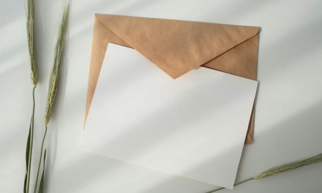Sostenibilidad en el sector postal: Tendencias en materiales ecológicos