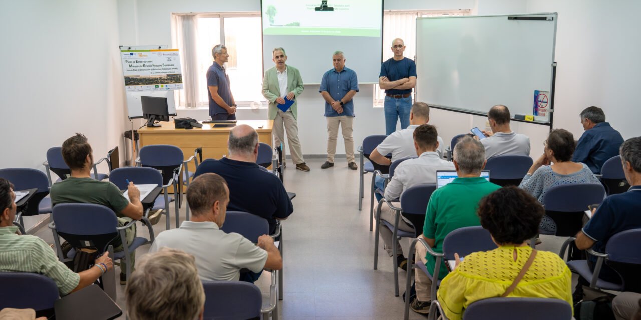 Un panel de expertos valida y mejora los modelos de gestión forestal en la Sierra