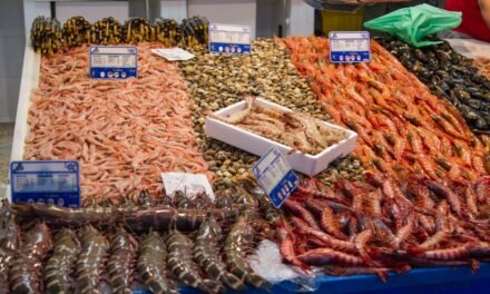 Más ayudas para la comercialización y transformación de productos pesqueros