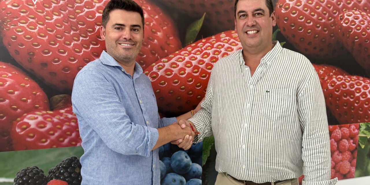 José Antonio Martín, nuevo presidente de Freshuelva