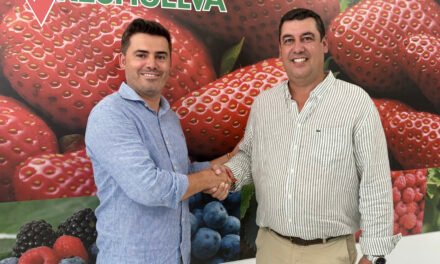 José Antonio Martín, nuevo presidente de Freshuelva