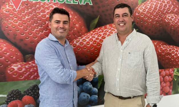 José Antonio Martín, nuevo presidente de Freshuelva