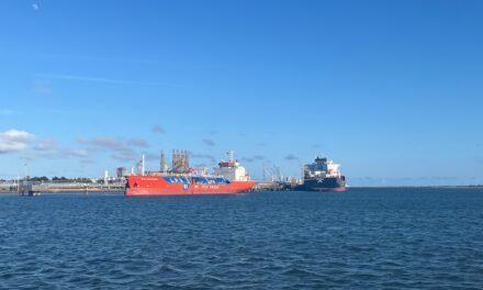 El Puerto supera los 14,4 millones de toneladas de mercancías en el primer semestre del año