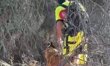 La falta de voluntarios marca otra jornada de búsqueda sin resultados para localizar a Astrid en El Pozuelo