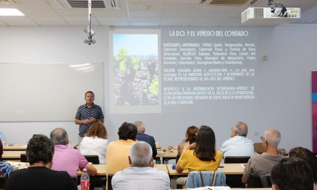 Víctor Manuel Núñez: «La viticultura ecológica ya no es minoritaria en el Condado»