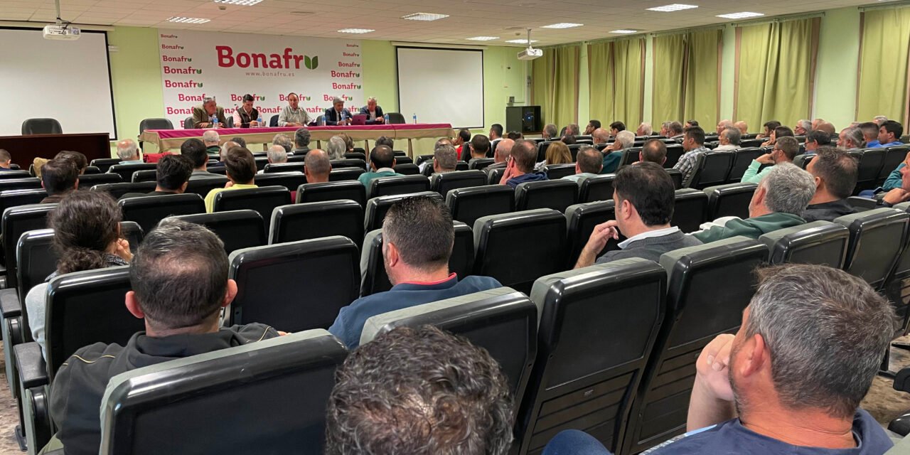 Los agricultores del Condado denuncian el “desastre” de las ayudas de Doñana