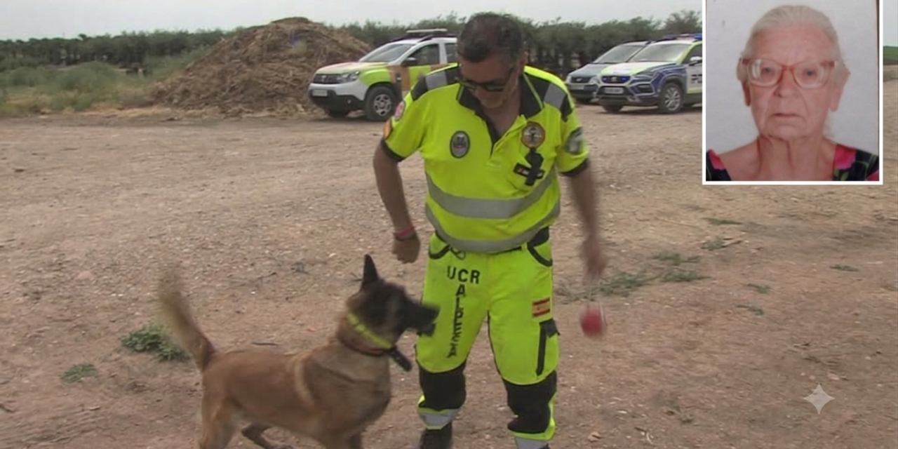 Nuevas batidas con unidades caninas y voluntarios para localizar a Astrid en El Pozuelo