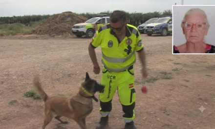 Nuevas batidas con unidades caninas y voluntarios para localizar a Astrid en El Pozuelo