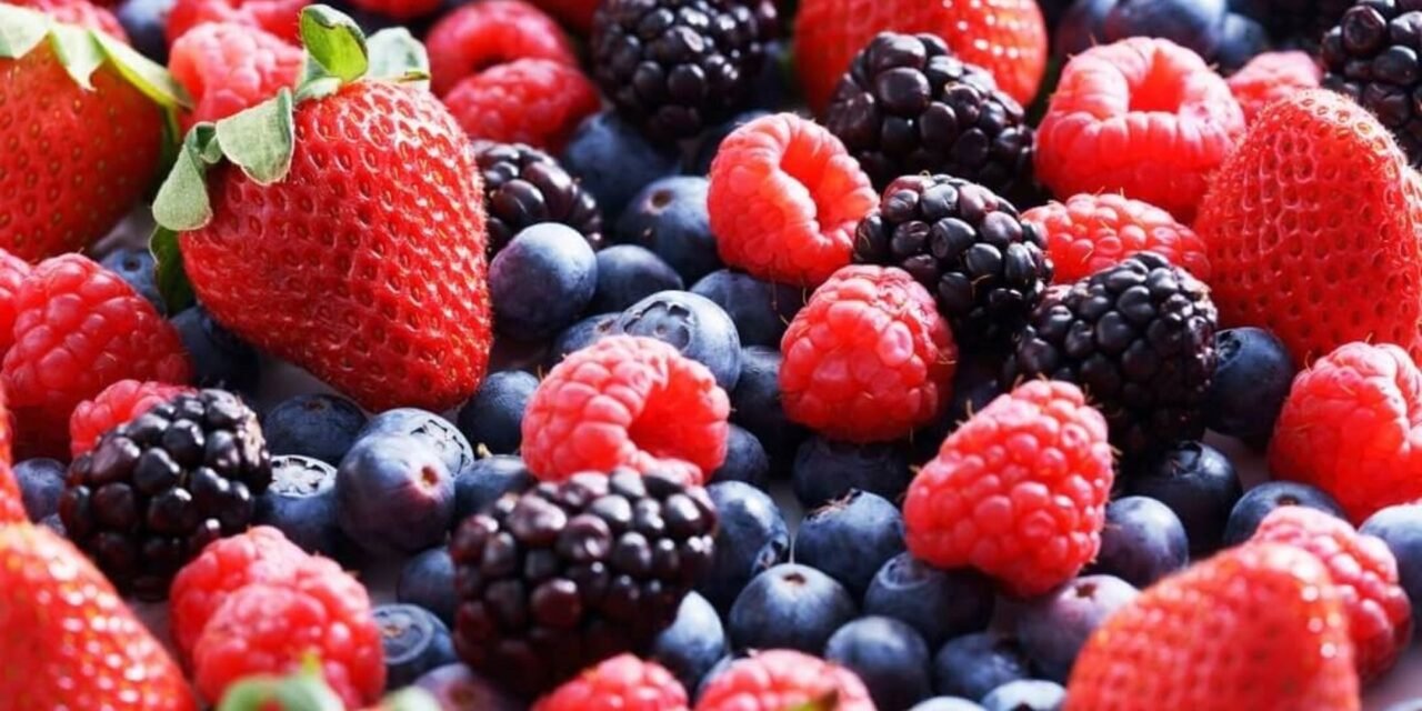 Las borrascas condicionan la campaña de frutos rojos y reducen producción y exportaciones