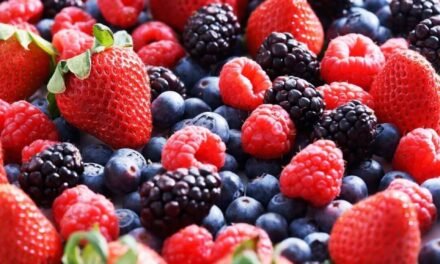 Las borrascas condicionan la campaña de frutos rojos y reducen producción y exportaciones