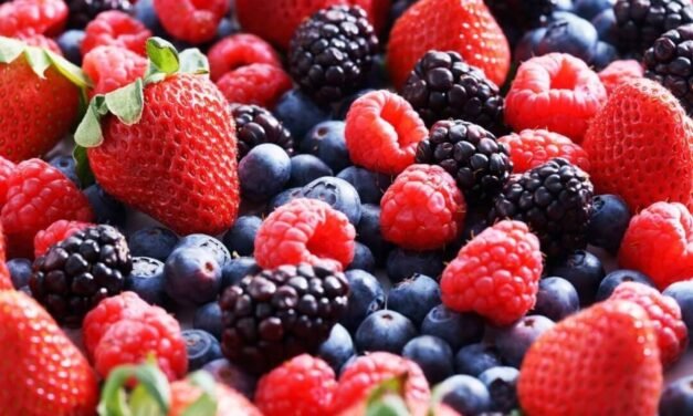 Las borrascas condicionan la campaña de frutos rojos y reducen producción y exportaciones