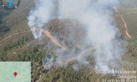 El Infoca lucha contra un «complejo» incendio en Almonaster
