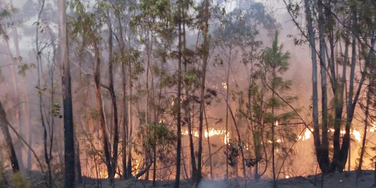 Los vecinos regresan a sus casas tras estabilizarse el incendio de Almonaster