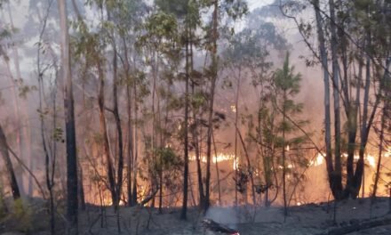 Los vecinos regresan a sus casas tras estabilizarse el incendio de Almonaster