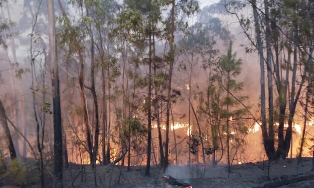 Los vecinos regresan a sus casas tras estabilizarse el incendio de Almonaster