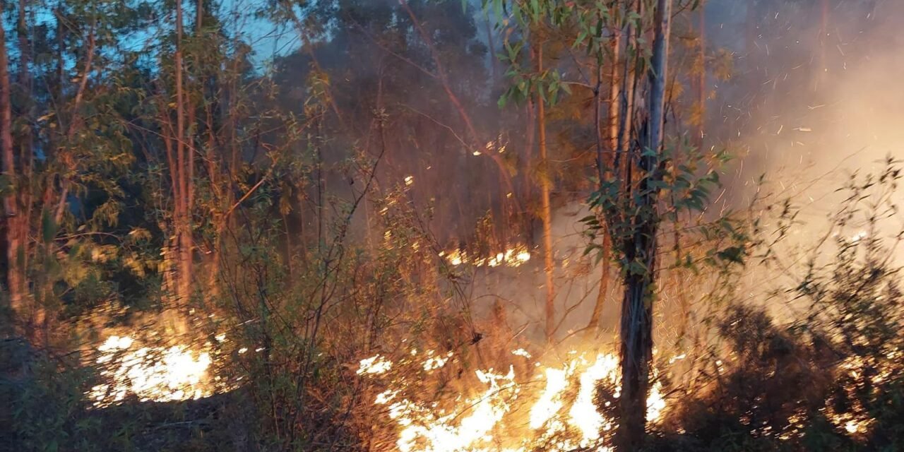 Reubicados en los polideportivos de Almonaster y Cortegana unos 330 evacuados por el incendio