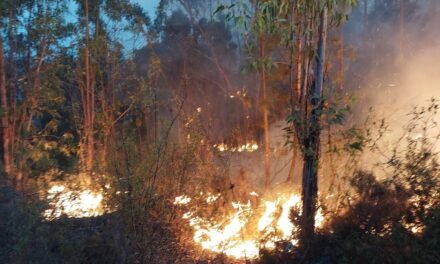 Reubicados en los polideportivos de Almonaster y Cortegana unos 330 evacuados por el incendio