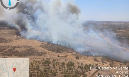 El Infoca lucha contra un segundo incendio en Alosno