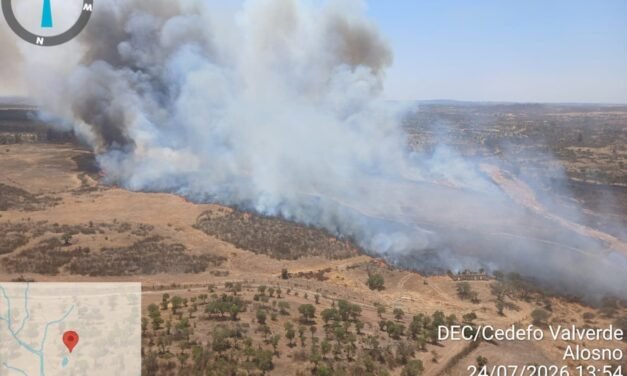 El Infoca lucha contra un segundo incendio en Alosno