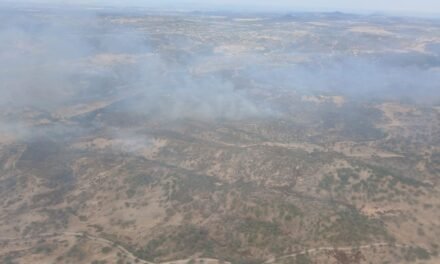 Fase de Emergencia 1 por un incendio en El Cerro de Andévalo