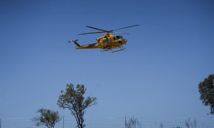 Nuevo incendio en Moguer