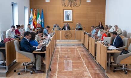 La Diputación reconoce el trabajo del Infoca, la UME y el Consorcio tras los incendios del Andévalo