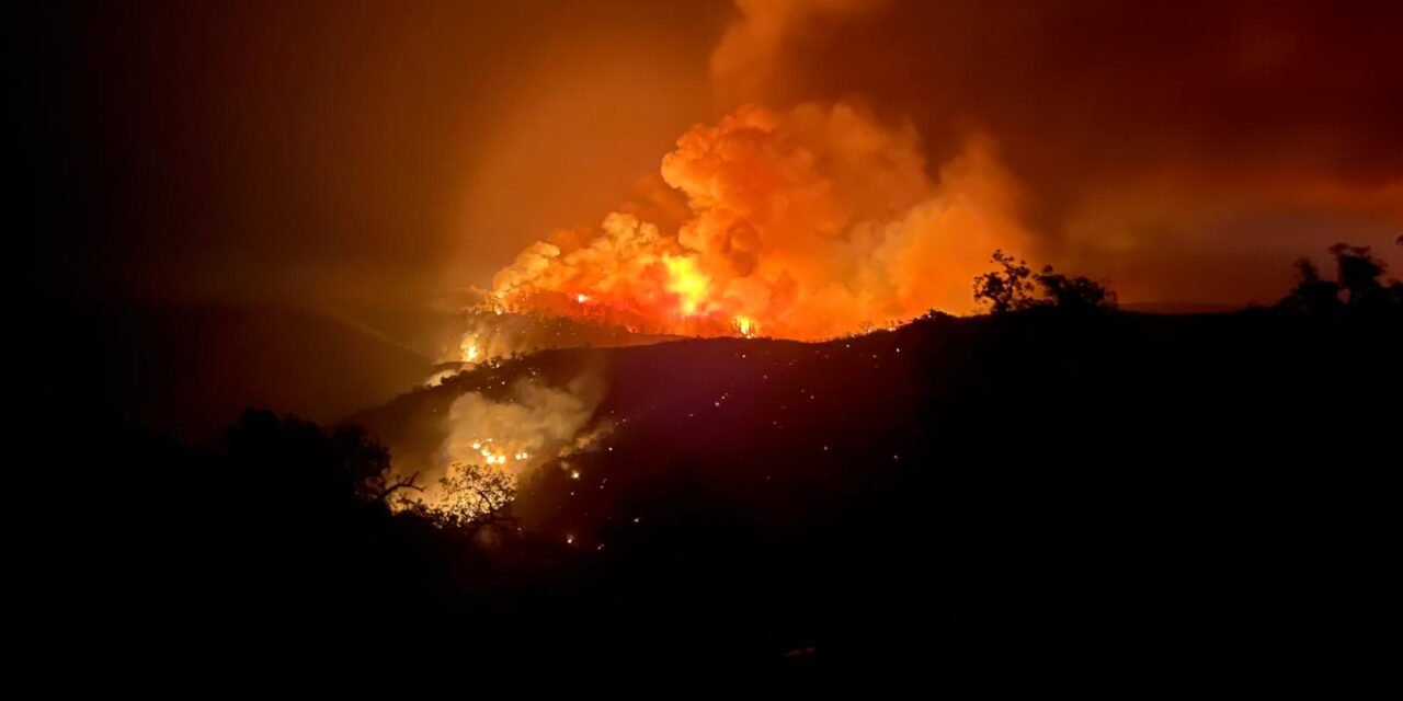 El incendio de Niebla calcina casi el 95% del término de Berrocal