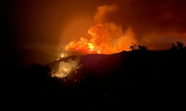 El incendio de Niebla calcina casi el 95% del término de Berrocal