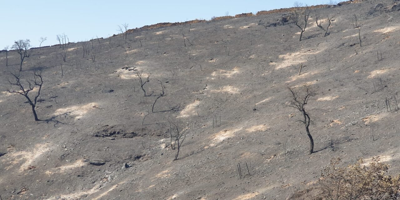 La Vuelta a España exhibirá el territorio de Berrocal y Zalamea calcinado en el incendio