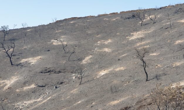 La Vuelta a España exhibirá el territorio de Berrocal y Zalamea calcinado en el incendio