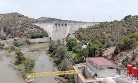 Huelva Riega reclama una gestión activa del territorio tras el incendio de Niebla