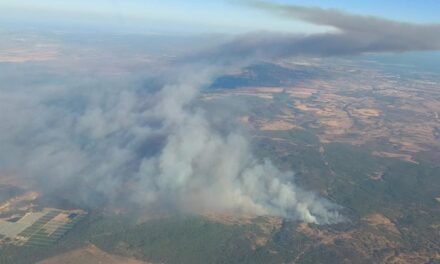 Un incendio en Niebla obliga al desalojo de dos aldeas