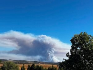 Incendio de Niebla y Berrocal