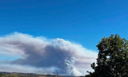 Ecologistas apuesta por un «mundo rural vivo» tras el tercer gran incencio en Berrocal en 50 años