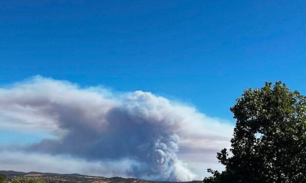 Ecologistas apuesta por un «mundo rural vivo» tras el tercer gran incencio en Berrocal en 50 años
