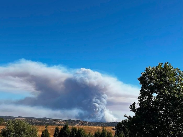 Ecologistas apuesta por un «mundo rural vivo» tras el tercer gran incencio en Berrocal en 50 años