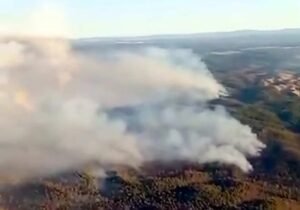 Incendio de Niebla