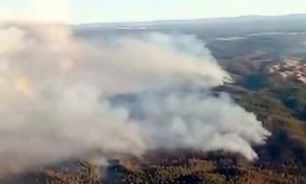 Ayuntamientos de la Cuenca Minera recomiendan cerrar puertas y ventanas ante la llegada del humo del incendio de Niebla