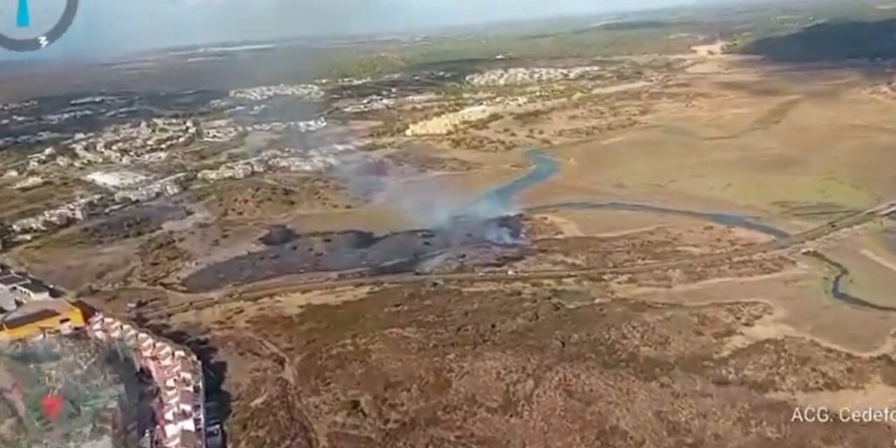 Declarado un incendio forestal en Costa Esuri
