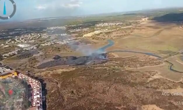 Declarado un incendio forestal en Costa Esuri