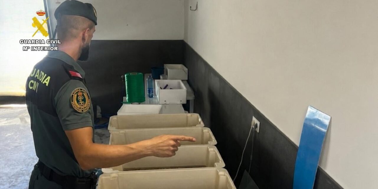 Intervienen casi 90 kilos de productos pesqueros que se distribuían desde un garaje de La Redondela