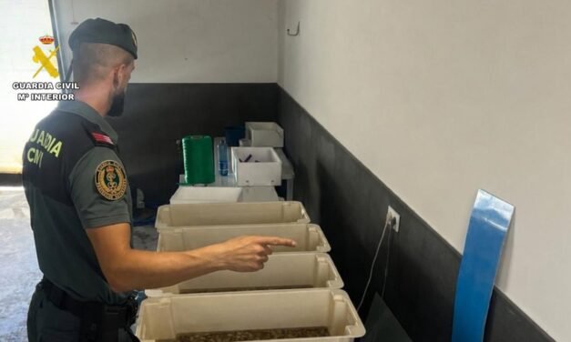 Intervienen casi 90 kilos de productos pesqueros que se distribuían desde un garaje de La Redondela