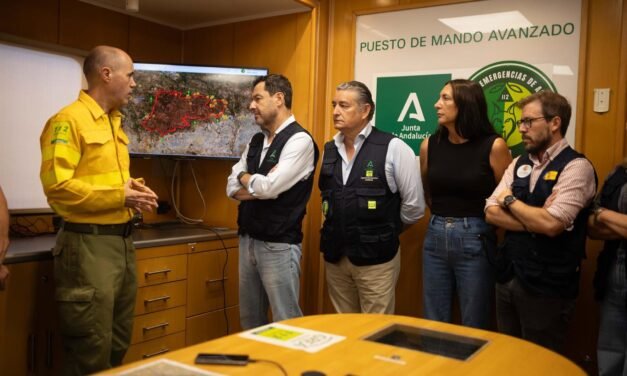 Estabilizado el incendio de Niebla 10 días después de originarse