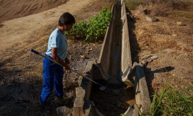 Detectado un nuevo caso grave de virus del Nilo en Niebla