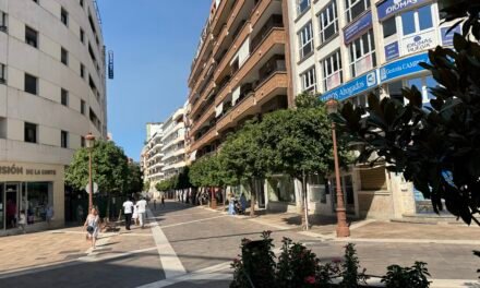 El Ayuntamiento limita a 3,5 toneladas el acceso de vehículos a las nuevas calles peatonales