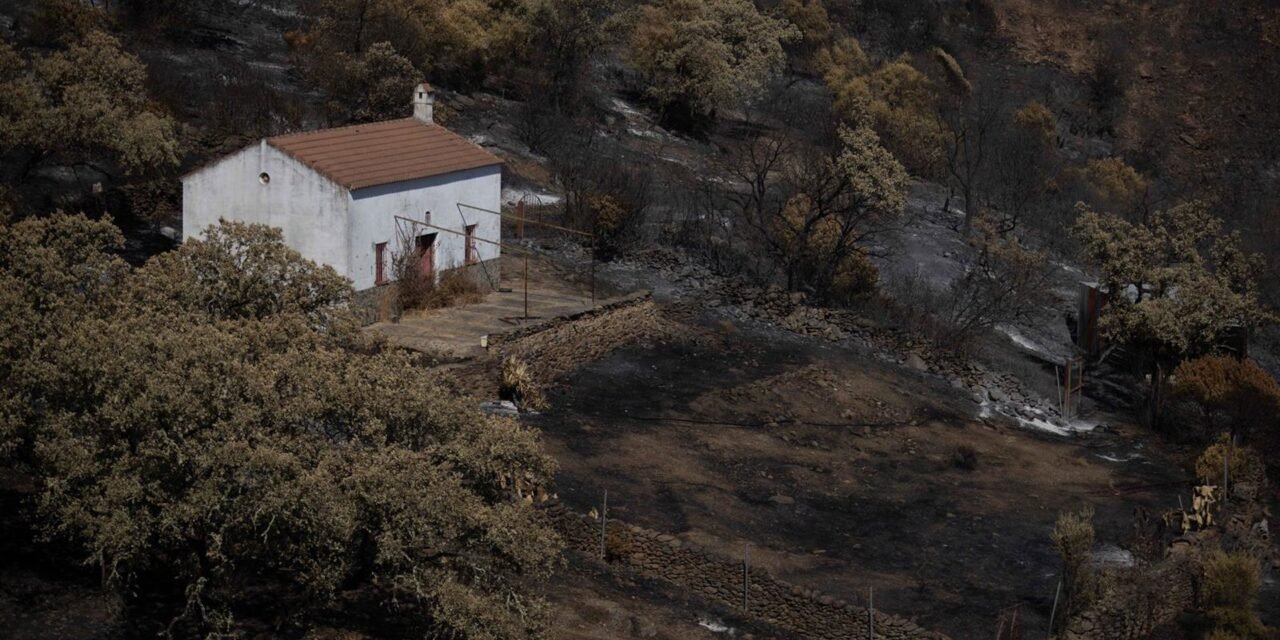 Berrocal agradece la solidaridad de Zalamea con los desalojados por el incendio