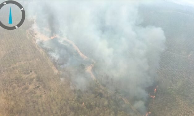 Declarado un nuevo incendio en el paraje Cueva de la Mora de Almonaster