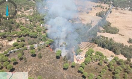 Un amplio dispositivo combate el fuego junto a la aldea de Navahermosa
