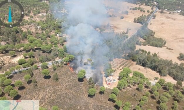 Un amplio dispositivo combate el fuego junto a la aldea de Navahermosa